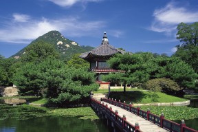 世界游艇挑战赛赛事志愿者荣誉体系与地方政府合作拓展，世界级游艇